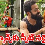 యంగ్ టైగర్ స్టైలే వేరు.. పక్షుల పేర్లలో కూడా జపనీస్ టచ్ ఇచ్చిన తారక్ !