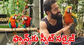 రిజ్వాన్ ను ఇమిటేట్ చేసిన‌ స్టోయినిస్..ఇది చూస్తే మాత్రం ఉరేసుకోవాల్సిందే