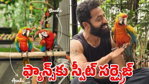 యంగ్ టైగర్ స్టైలే వేరు.. పక్షుల పేర్లలో కూడా జపనీస్ టచ్ ఇచ్చిన తారక్ !