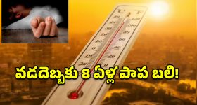 నాగన్‌పల్లిలో విషాదం.. వడదెబ్బకు 8 ఏళ్ల చిన్నారి బలి