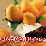 మామిడి పండ్ల సీజన్ వచ్చేసింది.. కానీ ఆ పండ్లు కొనేముందు ఈ ఒక్క టెస్ట్ చేయండి!
