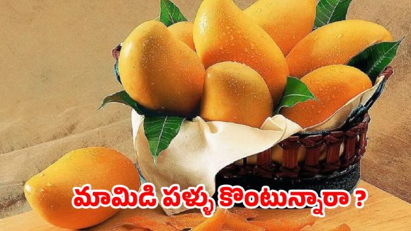 మామిడి పండ్ల సీజన్ వచ్చేసింది.. కానీ ఆ పండ్లు కొనేముందు ఈ ఒక్క టెస్ట్ చేయండి!