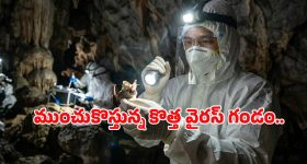 పవన్ వర్సెస్ విజయ్.. దళపతి గెలుపు పై ఏపీ ఐటీ సెల్స్ కుల కంపు..!