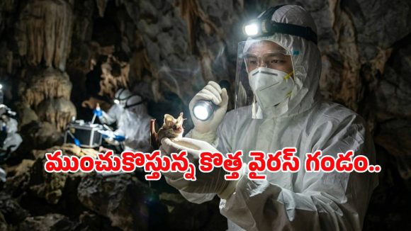 మరో మహమ్మారి ముప్పు.. థాయ్‌లాండ్ గబ్బిలాల్లో కొత్త రకం వైరస్