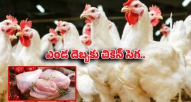 మాజీ ఎమ్మెల్యే ష‌కీల్‌ కొడుకు కేసును తెర‌పైకి తెచ్చి.. బీఆరెస్ సెల్ఫ్‌గోల్‌..! ఆర్‌.ఎస్‌. ప్ర‌వీణ్ కుమార్ ఓవ‌రాక్ష‌న్‌..!