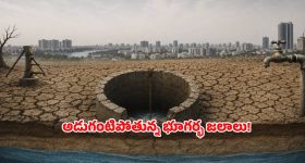 అమ్మాయిల లోదుస్తుల్లో అబ్బాయిలు.. చైనాలో కొత్త ట్రెండ్, అసలు కారణం ఇదే!