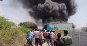Amaravati: సీఎం చంద్రబాబుకు మేనకాగాంధీ లేఖ.. దయచేసి ఆపండి, మారణకాండ గురించి మీరేమీ చేయలేరా?