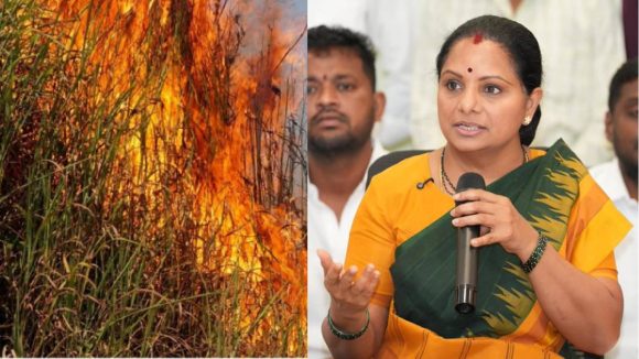 అగ్నికి ఆహుతైన 10 ఎకరాల మొక్కజొన్న పంట.. రైతులను ఆదుకోవాలని కల్వకుంట్ల కవిత డిమాండ్