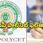 ఏపీ పాలిసెట్ ఫలితాలు విడుదల.. 91.37 శాతం ఉత్తీర్ణత