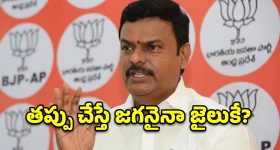 కూటమిని విచ్ఛిన్నం చేయాలని చూస్తే ఖబర్దార్.. ముసుగు వీరులకు పి.వి.ఎన్. మాధవ్ హెచ్చరిక!