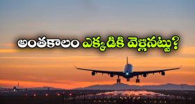 వై-ఫై గురించి ఈ 5 ఇంట్రెస్టింగ్ ఫ్యాక్ట్స్  తెలుసా?