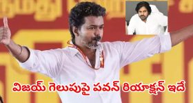 షార్ట్ టైంలోనే భారీ సక్సెస్.. టీవీకే విజయ్‌పై పవన్ స్పందన ఇదే