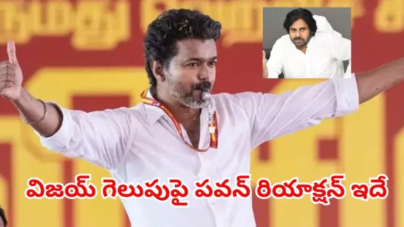 షార్ట్ టైంలోనే భారీ సక్సెస్.. టీవీకే విజయ్‌పై పవన్ స్పందన ఇదే
