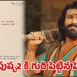 పుష్ప 2 రూట్ మ్యాప్‌లో ‘పెద్ది’.. రికార్డుల వేట మొదలుకానుందా?