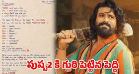 పుష్ప 2 రూట్ మ్యాప్‌లో 'పెద్ది'.. రికార్డుల వేట మొదలుకానుందా?