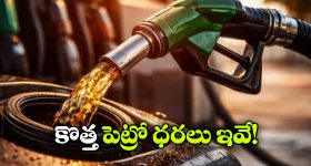 పెట్రోల్, డీజిల్ కొత్త ధరలు విడుదల.. హైదరాబాద్‌లో రేట్లు ఎలా ఉన్నాయంటే?