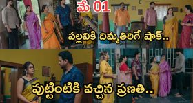 Intinti Ramayanam Today Episode: కన్నీళ్లు పెట్టుకున్న అవని.. పల్లవి ఫుల్ హ్యాపీ..పుట్టింటికి వెళ్లిపోయిన ప్రణతి..