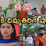 Podarillu Today Episode : నారాయణకు దిమ్మతిరిగే షాక్.. డ్యాన్స్ లతో సందడి.. కన్నీళ్లు పెట్టుకున్న ప్రతాప్..