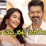 విజయ్ సీఎం అవుతాడని ముందే చెప్పేసిన పూజా హెగ్డే? ఇదిగో వీడియో!