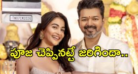 Vijay Alliance Buzz: విజయ్‌ను వెంటాడుతోన్న 11.. సింహం సీఎం కావాలంటే, పొత్తే దిక్కు!