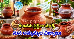ఇక ఫ్రిడ్జ్ అవసరమే లేదు.. ఇంట్లోని మట్టి కుండనే ‘ఐస్’లా మార్చేయండి!