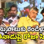 చంద్రబాబును మించిపోయిన లోకేష్.. కూటమి సర్కార్‌పై రోజా విమర్శల వర్షం!