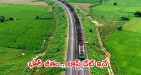 విజయ్ సీఎం అవుతాడని ముందే చెప్పేసిన పూజా హెగ్డే? ఇదిగో వీడియో!