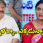 అన్నపైనే పడి ఏడుస్తావా? షర్మిలకు రాచమల్లు కౌంటర్.. బాబు మాటేంటి?