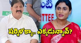 అన్నపైనే పడి ఏడుస్తావా? షర్మిలకు రాచమల్లు కౌంటర్.. బాబు మాటేంటి?