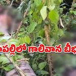 అనకాపల్లిలో గాలివాన బీభత్సం.. ఇద్దరు కూలీల దుర్మరణం!