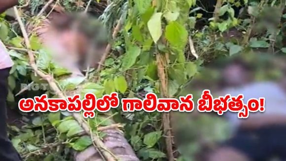 అనకాపల్లిలో గాలివాన బీభత్సం.. ఇద్దరు కూలీల దుర్మరణం!
