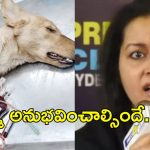 కలియుగంలో ఉన్నాం.. కర్మ ఎవరిని వదిలిపెట్టదు.. జాగ్రత్త.. హెచ్చరించిన రేణు దేశాయ్!