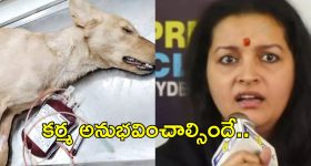 డిగ్రీ, బీటెక్ అర్హతతో ఉద్యోగాలు.. ఈ జాబ్ కొడితే లైఫ్ సెట్ బ్రో,  ఎంపిక విధానం ఇదే..