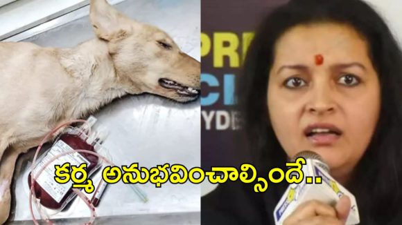 కలియుగంలో ఉన్నాం.. కర్మ ఎవరిని వదిలిపెట్టదు.. జాగ్రత్త.. హెచ్చరించిన రేణు దేశాయ్!