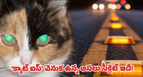 ఎన్టీఆర్ విగ్రహ ఆవిష్కరణ.. విమర్శకులకు రేవంత్ రెడ్డి గట్టి కౌంటర్!