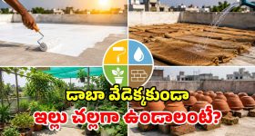 ఏసీలు, కూలర్లు అక్కర్లేదు.. ఈ 4 చిట్కాలతో.. ఇంటి పైకప్పును ఐస్‌లా మార్చేయండి!