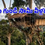 ప్రపంచానికే తెలియని వింత లోకం.. గాలిలో తేలియాడే ఈ గ్రామం గురించి తెలిస్తే షాక్ అవ్వాల్సిందే!