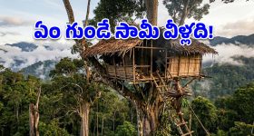 జూలై వరకు అంతర్జాతీయ విమానాలు రద్దు.. అసలు విషయం చెప్పేసిన ఎయిర్ ఇండియా!