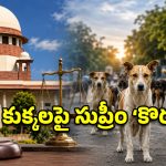 ప్రజల ప్రాణాలతో చెలగాటమాడితే ఊరుకోం.. వీధి కుక్కల సమస్యపై సుప్రీంకోర్టు వార్నింగ్