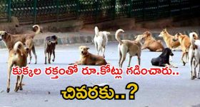 పెద్దికి బయపడ్డ మహేష్ బాబు సినిమా !