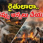 వరి కోతల తర్వాత పొలానికి నిప్పు పెడుతున్నారా? అయితే ఈ షాకింగ్ నిజాలు తెలుసుకోండి!
