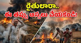 వరి కోతల తర్వాత పొలానికి నిప్పు పెడుతున్నారా? అయితే ఈ షాకింగ్ నిజాలు తెలుసుకోండి!