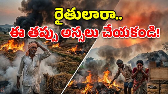 వరి కోతల తర్వాత పొలానికి నిప్పు పెడుతున్నారా? అయితే ఈ షాకింగ్ నిజాలు తెలుసుకోండి!