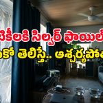 జస్ట్ రూ.15 ఖర్చు పెడితే చాలు.. ఇల్లంతా కూల్ అయిపోద్ది.. ఇక ఏసీ కూడా ఆన్ చేయరు!