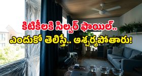 ఆ హీరోయిన్ల కాళ్లపై పడ్డ ఊర్వశి, ఆలియా.. ఆ ఫోటోపై బాలీవుడ్ బ్యూటీ ఫైర్!