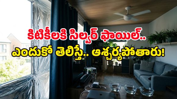జస్ట్ రూ.15 ఖర్చు పెడితే చాలు.. ఇల్లంతా కూల్ అయిపోద్ది.. ఇక ఏసీ కూడా ఆన్ చేయరు!