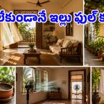 ఏసీ లేకపోయినా ఇల్లు కూల్ కూల్‌గా ఉండాలా? అయితే మన తాతల కాలపు ఈ ‘కూలింగ్ హ్యాక్స్’ ట్రై చేయండి!