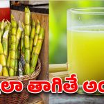 వేసవిలో చెరకు రసం తాగే ముందు ఈ నిజం తెలుసుకోకపోతే అంతే సంగతులు!