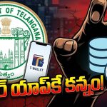 టీ-వ్యాలెట్‌పై ‘ప్రైవేట్’ పంజా.. 16 లక్షల మంది యూజర్ల డేటా సేఫ్‌నా?