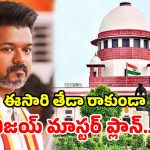 TVK Petition: గవర్నర్ గ్రీన్ సిగ్నల్ ఇచ్చినా.. సుప్రీంకోర్టులో టీవీకే పిటిషన్.. విజయ్ వ్యూహం ఏంటి?